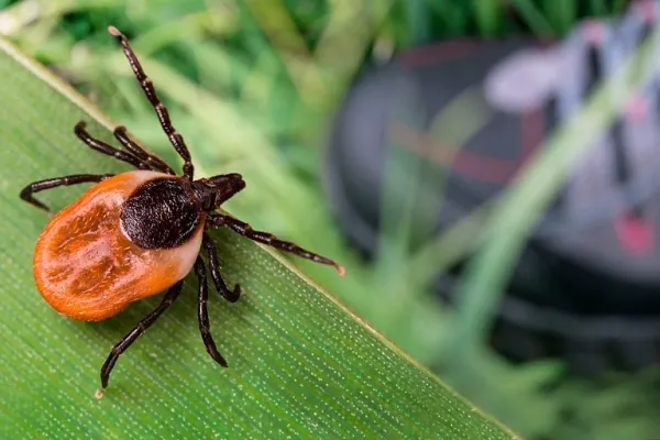 Изображение новости